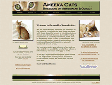 Tablet Screenshot of ameeka.com